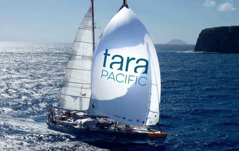 expeditionsschiff tara