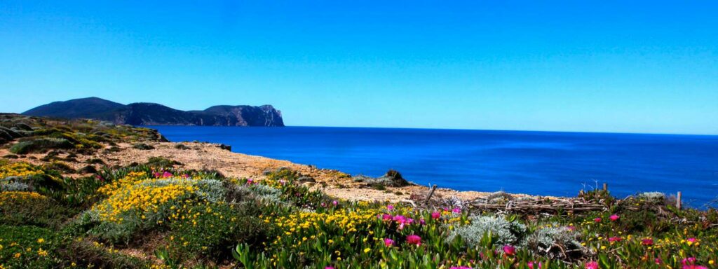 Foto von Sardinien - einem Traumrevier für Törnvorschläge & Segelrouten Italien