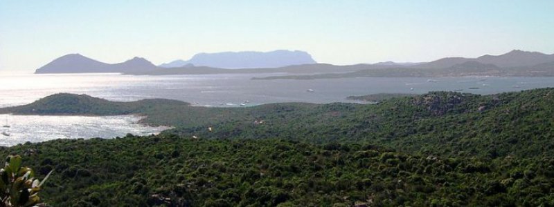 Foto der Küstenlinie von Cannigione auf Sardinien, einem beliebten Segelrevier für Segelurlaube