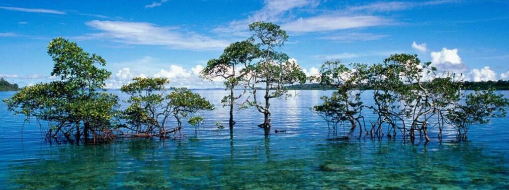 Andamanen